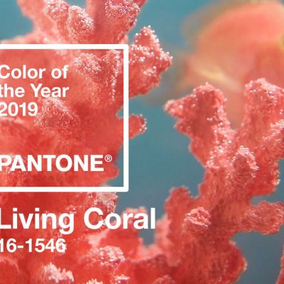 Living Coral a fost aleasa culoarea anului 2019
