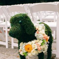 7 moduri de a introduce imaginea cainelui tau in decorul nuntii