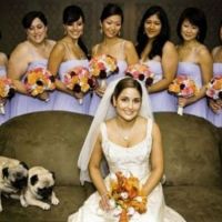 Fotografii de nunta lipsite de inspiratie
