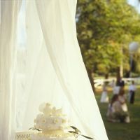 Lista pentru organizarea nuntii perfecte
