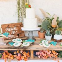 Cum sa folosesti cactusul in decorul nuntii?