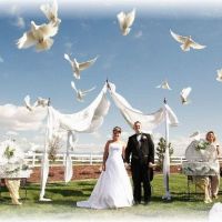 Nunta cu porumbei, cea mai romantica amintire