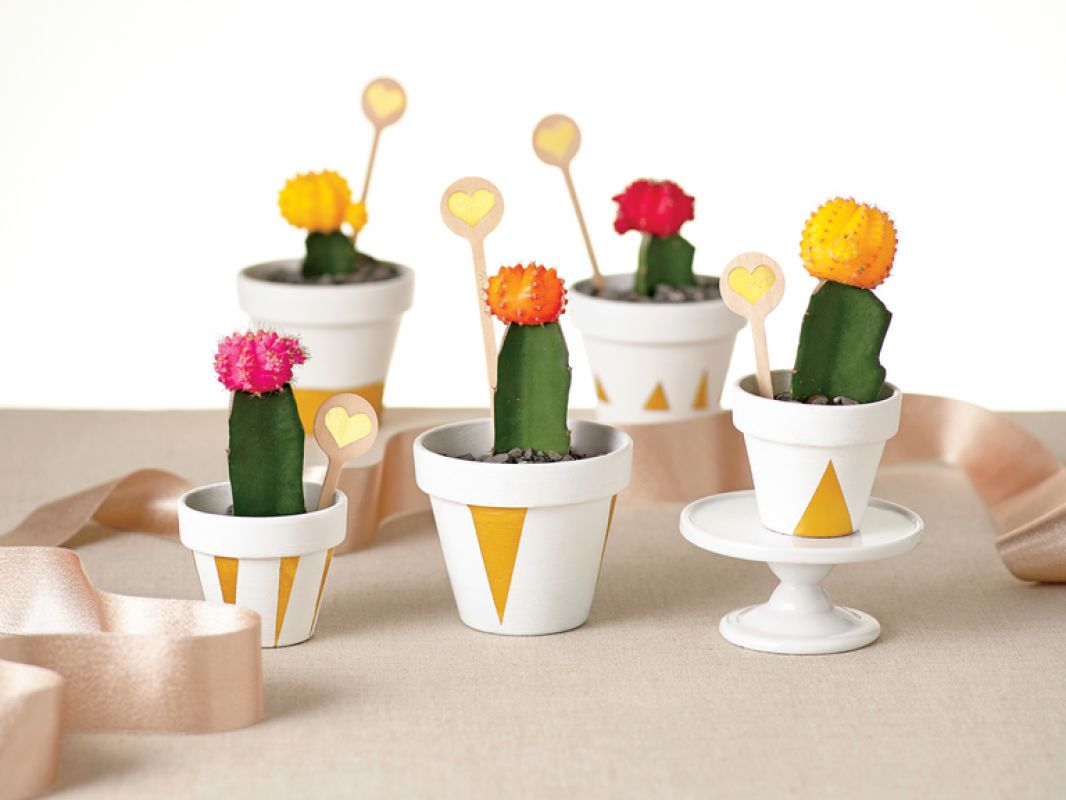 DIY: Cactusi in miniatura pentru nunti eco