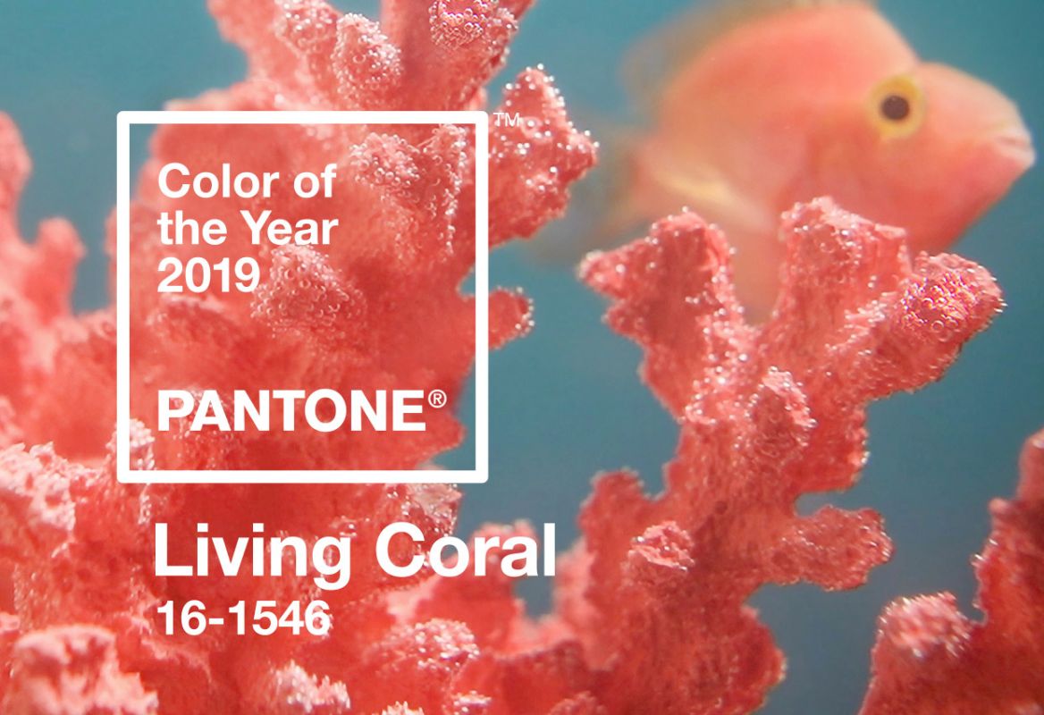 Living Coral a fost aleasa culoarea anului 2019