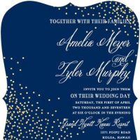Invitatii de nunta albastre pentru 2016