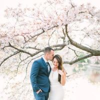 Fotografii de logodna romantice cu ciresi infloriti