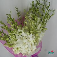 Buchete de orhidee albe pentru nunta