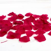 Petale trandafiri bordo nunta