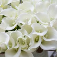 Ghidul florilor de nunta - ce, unde si cum?