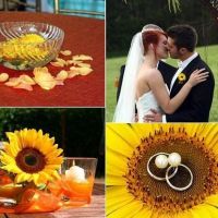 Tema nuntii: floarea-soarelui 