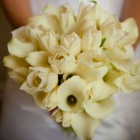 Ghidul florilor: Calele la nunta