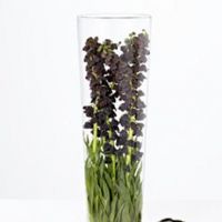 Cele mai cool sfesnice si vaze decorative pentru nunta