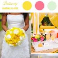 Culori de top pentru nuntile din 2016